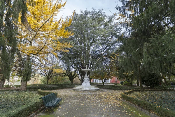 Park, Parque de la Alameda осінь, Santiago de Compostela, Galicia, Spain. — стокове фото