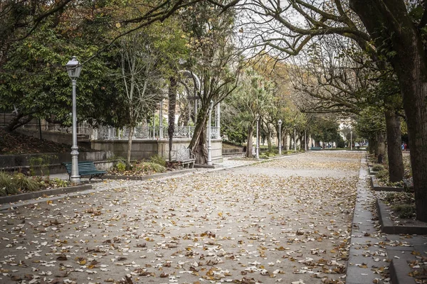 Garden view promenade, autumn day in park,parque alameda.Santiago de Compostela,Spain. — Stock Photo, Image