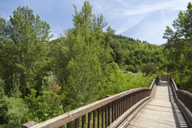 Ahşap köprü Garrotxa bölgesinde, Castellfollit de la Roca, Katalonya, İspanya ile manzara.
