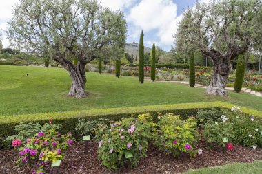 Park Cervantes, Gül Bahçesi, Barcelona.