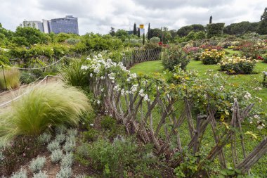 Park Cervantes, Gül Bahçesi, Barcelona.