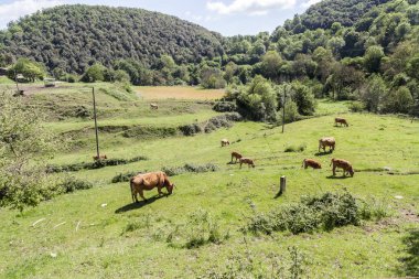 Garrotxa bölgesinde, Santa Pau, Katalonya, İspanya manzara.