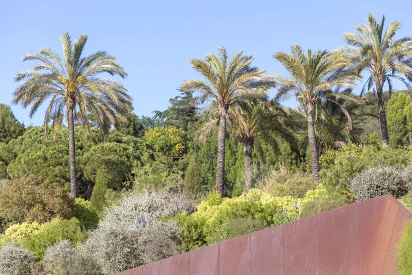 Jardín botánico en el parque Montjuic, Barcelona . — Foto de Stock