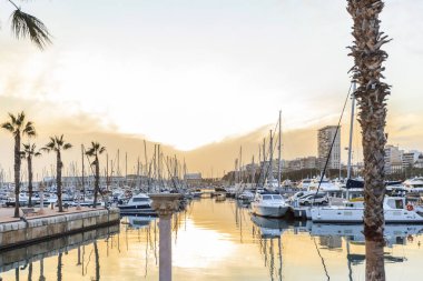 Standart Oda, marina. Alicante, İspanya.