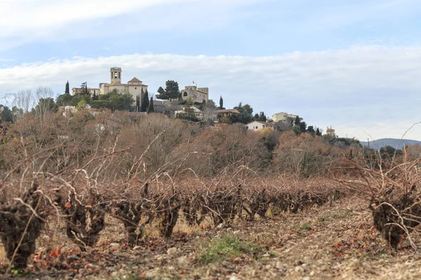 Vista general del pueblo con viñedos de paisaje en la zona de Penedes, Sant Marti Sarroca, Cataluña, España . — Foto de Stock