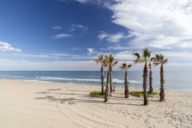 Akdeniz sahil, Costa Dorada, Katalonya, İspanya.