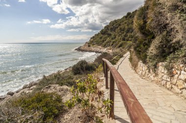 Patika, Cami de Ronda yakın Akdeniz'de Roda de Bera, Costa Dorada, Catalonia, İspanya.