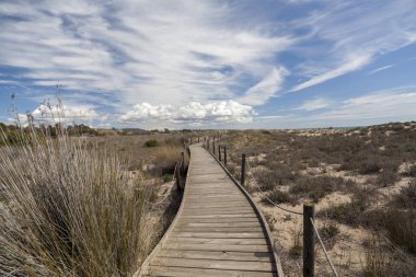 Torredembarra, Costa Dorada, Katalonya, İspanya 'da doğal koruma altındaki Els Muntanyalıları.