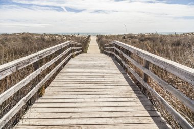 Torredembarra, Costa Dorada, Katalonya, İspanya 'da doğal koruma altındaki Els Muntanyalıları.