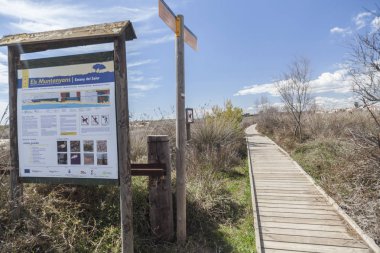 Torredembarra, Costa Dorada, Katalonya, İspanya 'da doğal koruma altındaki Els Muntanyalıları.