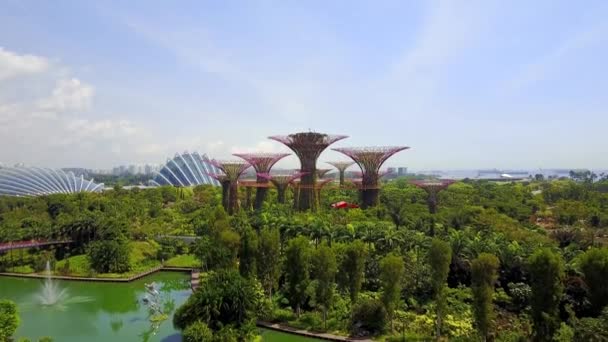 Vista aérea de Supertree Grove em Jardins junto à Baía de Singapura — Vídeo de Stock