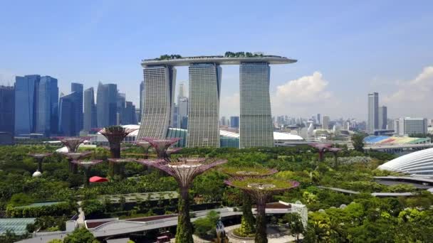 A légi felvétel a Supertree Grove, kertek, a Bay és a Marina Bay Sands — Stock videók