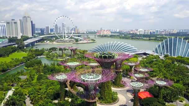 Вид с воздуха на рощу Супертри в Гарденс у залива в Сингапуре — стоковое видео