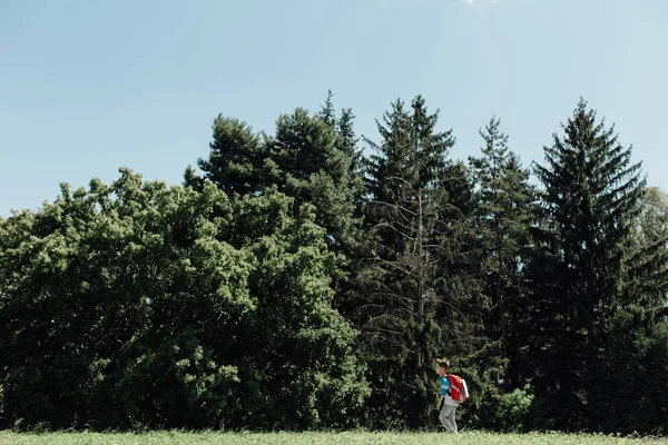 Zijaanzicht van een schooljongen ochtend onderweg naar school — Stockfoto