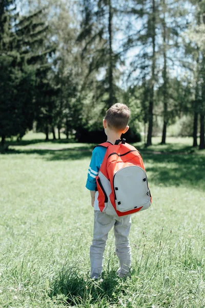 들고는 schoolbag 남학생의 후면 보기 — 스톡 사진