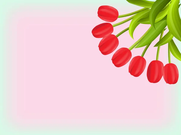 Fondo de primavera de flores, un ramo de tulipanes — Vector de stock