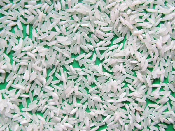 Green background with rice. — Stock Photo, Image