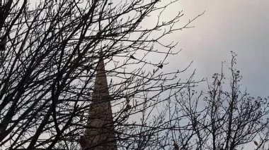 Celtic kilisenin arkasında kuru ağaç dalları birkaç ölü yaprakları ile tepesinde. Bir arka plan üzerinde mavi gökyüzü. Dublin, İrlanda.