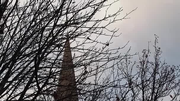 Parte superior de una iglesia celta detrás de ramas de árboles secos con unas pocas hojas muertas. Cielo azul sobre fondo. Dublín, Irlanda . — Vídeos de Stock