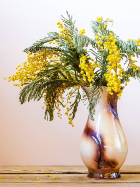 Sarı bahar çiçekli natürmort. Akasya dealbata gümüş wattle, mavi wattle ve Mimoza bilinen.