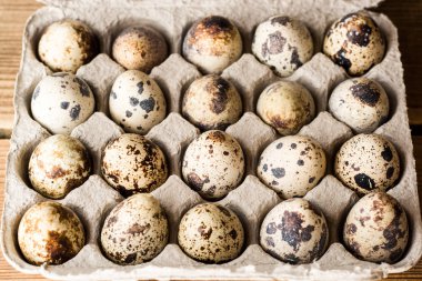 Karton ambalajda bıldırcın yumurtası..