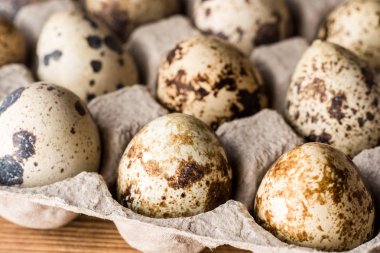 Karton ambalajda bıldırcın yumurtası..