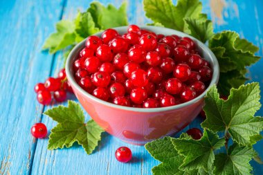 Mavi ahşap zemin üzerine kase taze kırmızı kuş üzümü.