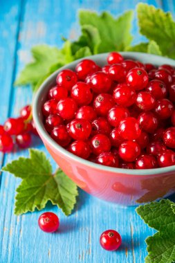 Mavi ahşap zemin üzerine kase taze kırmızı kuş üzümü.