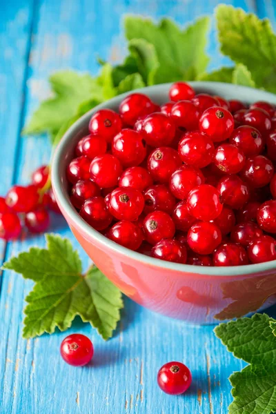 Mavi ahşap zemin üzerine kase taze kırmızı kuş üzümü.
