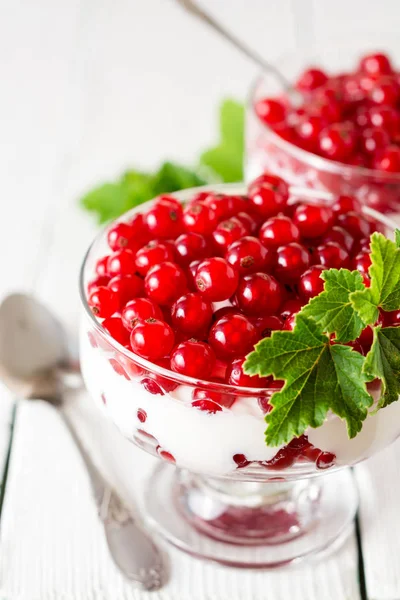 Yogurt dessert with red currant and decorated with leaves on white wooden background — Stock Photo, Image