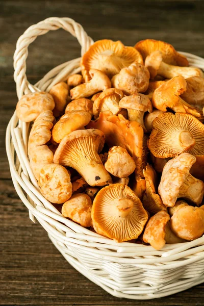 Ham yabani mantar Cantharellus cibarius sepeti rustik ahşap tablo