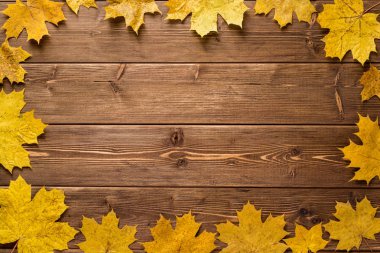Koyu ahşap arka plan üzerinde sonbahar akçaağaç yaprakları.