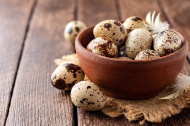 Rustik ahşap zemin üzerine seramik kase taze bıldırcın yumurtası