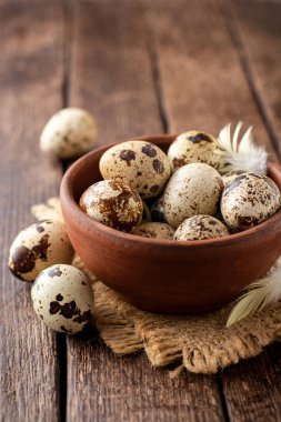 Rustik ahşap zemin üzerine seramik kase taze bıldırcın yumurtası