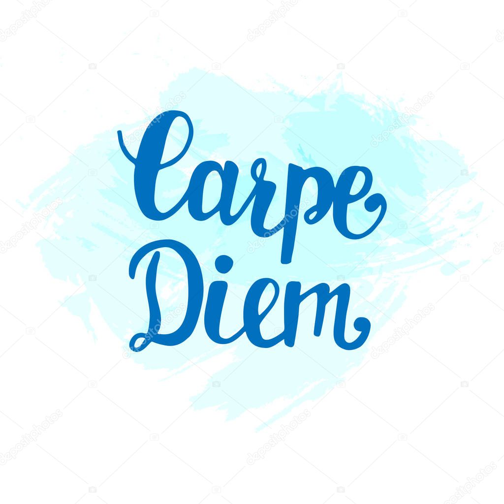 Carpe Diem. Inspirational hand lettering — Stock Vector © artrise