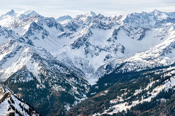 緑豊かな雪山 — ストック写真