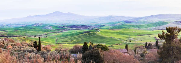 Luchtfoto panorama van een heuvelachtig Toscaanse vallei — Stockfoto