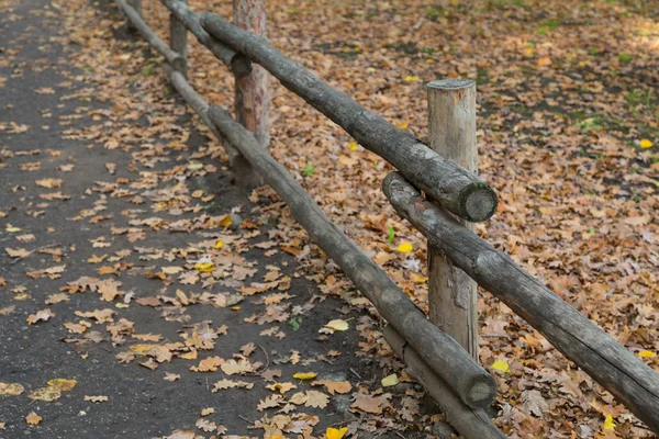Uma cerca de troncos no Parque no outono, folhas caídas no chão — Fotografia de Stock