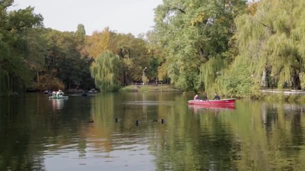 Граждане катаются на лодке в парке города-пруда — стоковое видео
