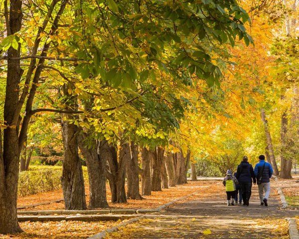 Autumn in the city Park the city of Saratov, Russia. Chestnut Avenue