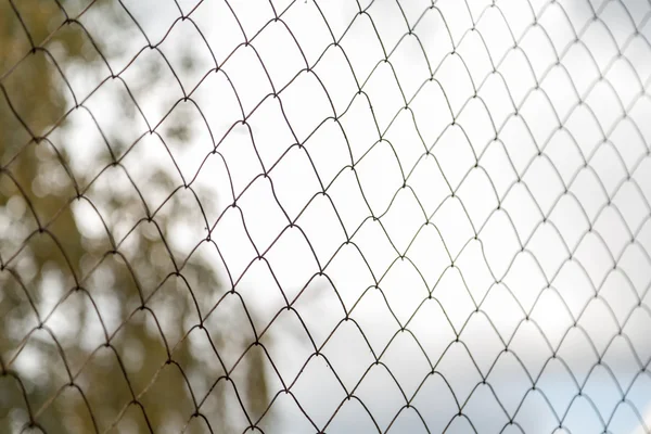 Metal Mesh Netting Blurred Background — Stock Photo, Image