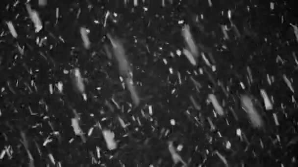 Caída de nieve contra el cielo negro nocturno — Vídeo de stock