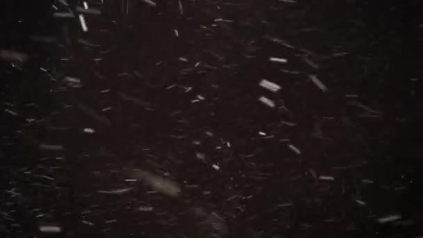 Sneeuwval verlichting op een donkere achtergrond — Stockvideo