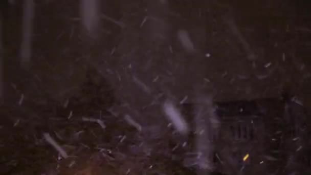 Floresta de neve no fundo da cidade noturna — Vídeo de Stock