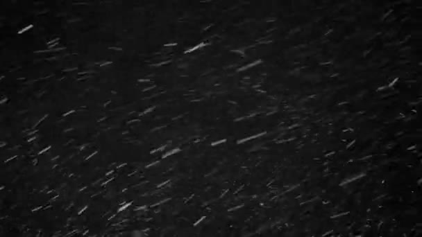 Sneeuwval op een zwarte achtergrond — Stockvideo