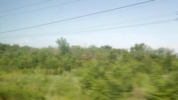 Filmando desde la ventana de un tren en movimiento. Verano Día soleado, bosque, líneas eléctricas — Vídeos de Stock