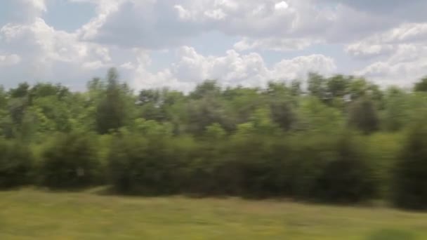 Filmowanie z okna pociągu. Słoneczny dzień lato, Las, linie energetyczne — Wideo stockowe