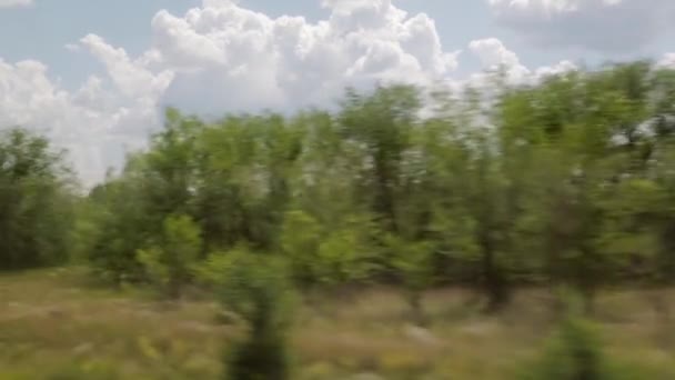 Filmando desde la ventana de un tren en movimiento. Verano Día soleado, bosque, líneas eléctricas — Vídeo de stock