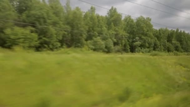 Natáčení z okna jedoucího vlaku. Slunečný den v létě, Les, elektrické vedení — Stock video
