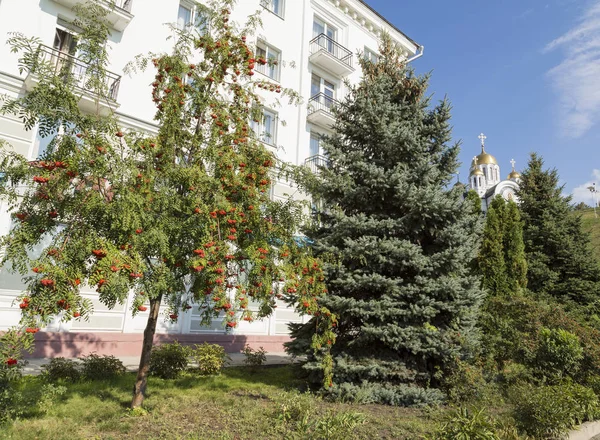 Immeuble résidentiel, arbre, frêne de montagne. L'Église orthodoxe au loin. Le temple en l'honneur du saint grand martyr George le victorieux . — Photo